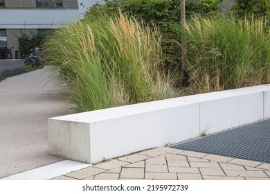 Modern Garden Design And Landscaping: A White Concrete Block Usable As Bench Decorated With Easy-care Pampas Grass, Trees And Perennials Marks The Entrance To The Courtyard Of A Residential Building