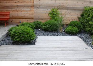 Modern Garden Design And Terrace Construction With A Timber Floor Terrace And Grass Plants Bush Box Trees In A Patch With Crushed Stone In Front Of A Wooden Wall