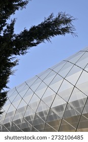 Modern geodesic dome with triangular glass panels under blue sky, framed by tree branches; contemporary architecture and sustainability concept.