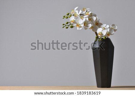 Modern geometric black vase with orchid flower on gray background