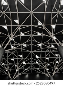 Modern geometric ceiling with metal framework