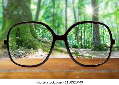 modern glasses on wooden table against beautiful forest landscape