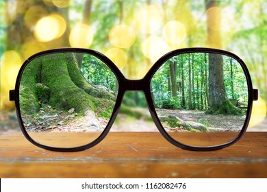 modern glasses on wooden table against beautiful forest landscape