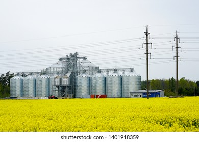 Modern Grain Mill Factory Behind A Flowering Rape Field