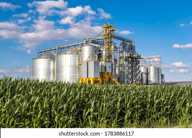 Modern Granary elevator. Silver silos on agro-processing and manufacturing plant for processing drying cleaning and storage of agricultural products, flour, cereals and grain.  - Powered by Shutterstock