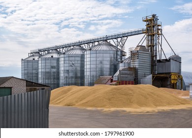 Modern Granary elevator. Silver silos on agro-processing and manufacturing plant for processing drying cleaning and storage of agricultural products, flour, cereals and grain. 