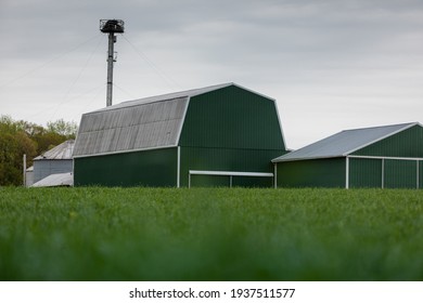 Moderne grüne Barnen auf einem Bauernhof aus Metall, grüner Gras unscharf im Hintergrund
