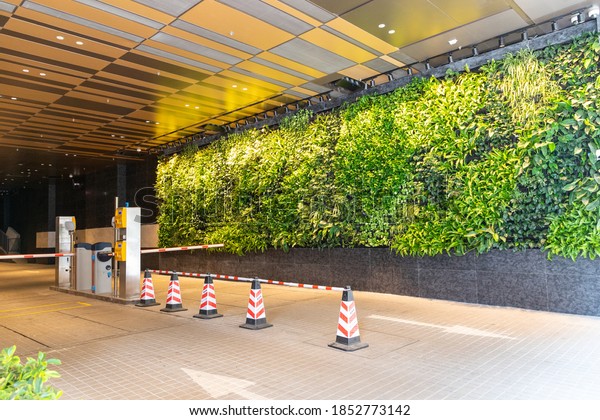 modern green car park entrance with wall\
decorated with herbaceous plants in Hong\
Kong