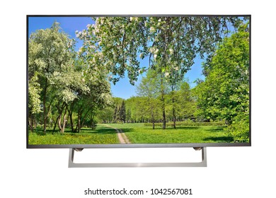 Modern High-definition TV Or Monitor Of Computer Isolated On A White Background With Beautiful View Of Spring Landscape With Blossoming Cherry And Apple Trees On The Screen - Mockup