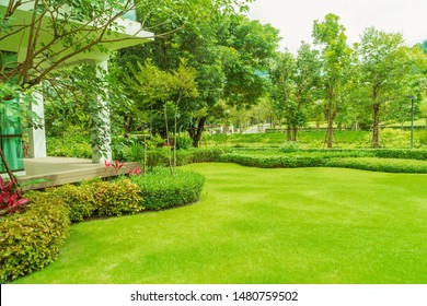 Modern House With Beautiful Landscaped Front Yard, Lawn And Garden, Green Lawn, Landscape Formal, Front Yard Is Beautifully Designed Garden., Design Background.