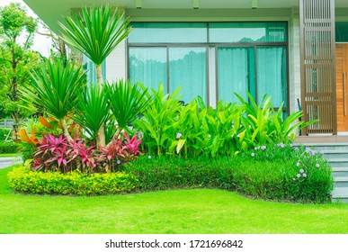 Modern House With Beautiful Landscaped Front Yard, Garden With Fresh Green Grass Both Shrub And Flower Front Lawn Background, Garden Landscape Design Fresh Grass Smooth Lawn With Curve Form Bush.