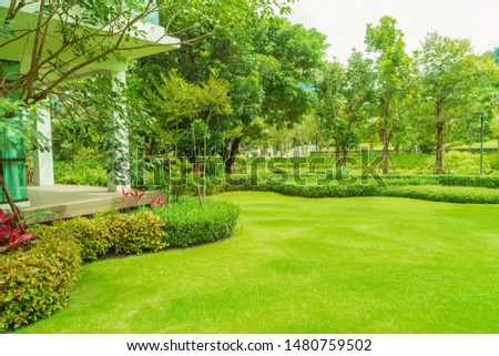 Modern house with beautiful landscaped front yard, Lawn and garden, Green lawn, Landscape formal, Front yard is beautifully designed garden., Design background.
