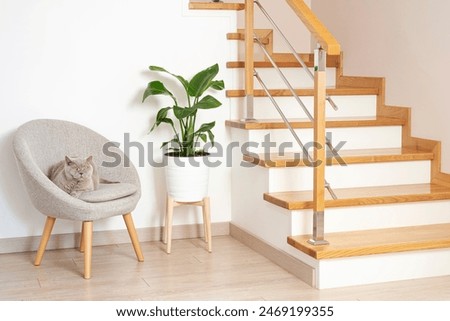 Similar – Image, Stock Photo Staircase with cat
