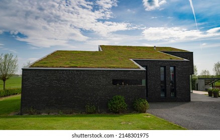 Modern House With Living Roof