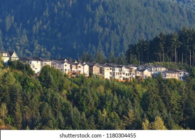 Modern Houses Building In Issaquah, WA-USA