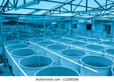 modern industrial aquaculture water system farm