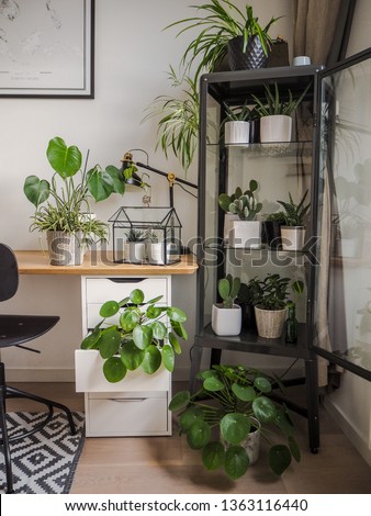 Modern industrial black and white study room with numerous green houseplants such as pancake plants and cacti creating an urban jungle feeling.