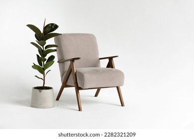 decoración moderna con un sillón cómodo y una planta de fondo blanco.