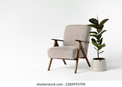 modern interior with comfortable armchair and plant on white background. - Shutterstock ID 2284993709