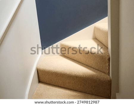 Modern interior design featuring a neutral tone carpeted staircase and winder steps creating a subtle turn in a hallway