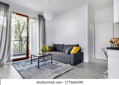 Modern Interior Design - Living Room In Small Apartment