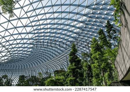 Modern interior design with trees inside the terminal building