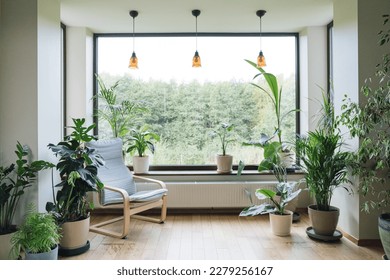 Modern interior with indoor plants, monstera, palm trees. Urban jungle apartment. Biophilia design. Home gardening. Cozy tropical home garden. Gardening, hobby concept. - Powered by Shutterstock