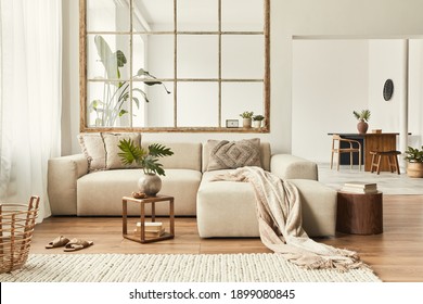 Modern interior of open space with design modular sofa, furniture, wooden coffee tables, plaid, pillows, tropical plants and elegant personal accessories in stylish home decor. Neutral living room. - Shutterstock ID 1899080845