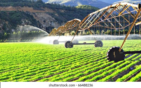 Modern irrigation system watering a farm field of carrots in late afternoon sunlight