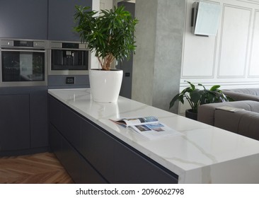 Modern Kitchen Design With A Kitchen Island With A White Surface And A Potted Plant As A Kitchen And Living Room Divider, Separator With Built-in Cooking Appliances, And A Sofa In The Background.