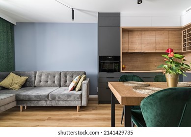 Modern kitchen and dining room combined with living room. Table with green suede upholstered chairs. Blue wall and grey sofa with cushions.