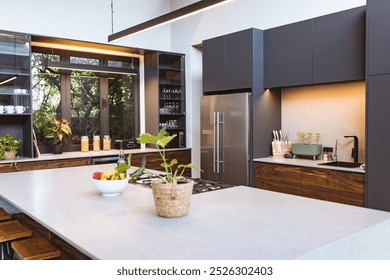 Modern kitchen with island, stainless steel appliances, and potted plants, copy space. interior, design, home, decor, contemporary, countertop - Powered by Shutterstock