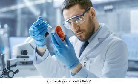 In a Modern Laboratory Food Scientist Injects Strawberry with a Syringe. He's Working on a Genetic Modifications of this Product. - Powered by Shutterstock