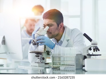 In a Modern Laboratory Research Scientist Conducts Experiments - Powered by Shutterstock