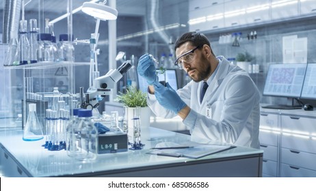 In a Modern Laboratory Research Scientist Conducts Experiments by Synthesising Compounds with use of Dropper and Plant in a Test Tube.