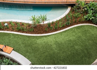 Modern Landscaped Garden