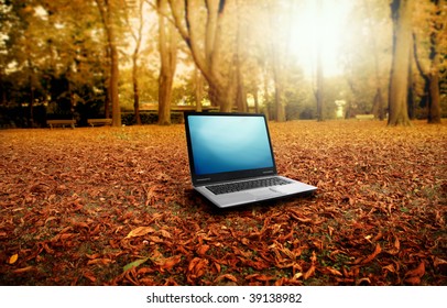 Modern Laptop In Autumn Landscape