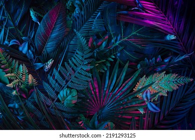 Modern layout installed with tropical colorful plants forest glow in the dark background. Stylized as futuristic art. - Shutterstock ID 2191293125
