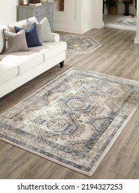 Modern living area floor rug interior room rug texture design. Charlotte carpet