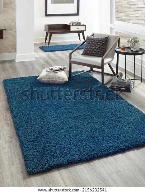 Modern living area room\
rug