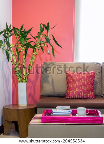 Modern living room decorated with sofa and vase of Lucky bamboo