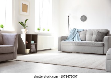 Modern Living Room Interior With Stylish Sofa And Carpet