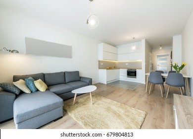 Modernes Wohnzimmer und Küche in kleinen Appartements