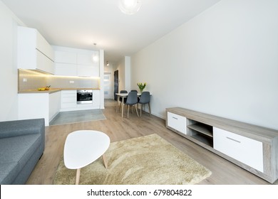 Modern Living Room And Kitchen In Small Apartment