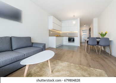 Modern Living Room And Kitchen In Small Apartment