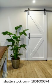 Modern Living Room With A White Sliding Barn Door And A Beautiful Potted Plant Called Bird Of Paradise (Strelitzia Reginae)