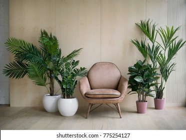Modern loft living room with plywood wall and wooden floor, retro brown leather armchair and green tropical fern plants in pots near low sill window. Mock up interior photo simple urban jungle style