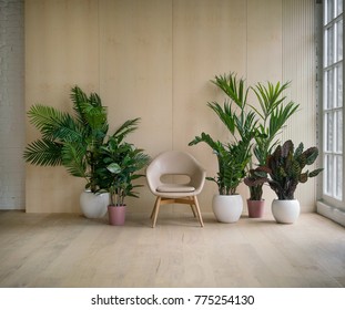 Modern loft living room with plywood wall and wooden floor, retro beige leather armchair and green tropical fern plants in pots near low sill window. Mock up interior photo simple urban jungle style