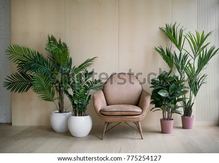 Similar – Image, Stock Photo Green potted plant near shabby brick wall