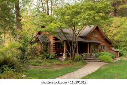 Modern Log Cabin Home In A Forest Environment